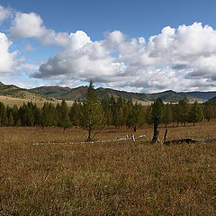 фото "Алтайские зарисовки"