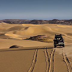 photo "Desert Safari1"