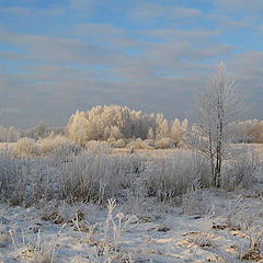 photo "Hoarfrost."