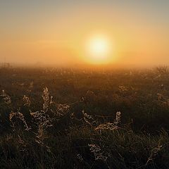 фото "Утро."