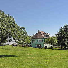 photo "Pastoral or The Swiss trick"