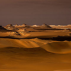 photo "The desert"