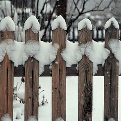 фото "Сердечные причуды зимы"