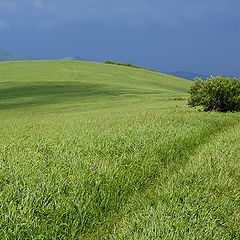 фото "Перед дождём."