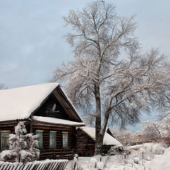 фото "Деревенский пейзаж"