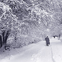 фото "Снежный путь"