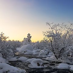 фото "Меж камней, берез и скал"