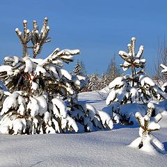 фото "зимний день"