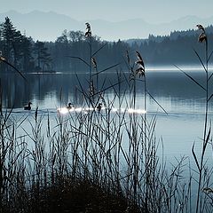 photo "Silent lake"