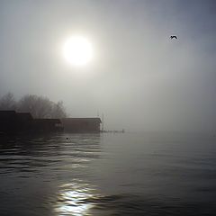 photo "Foggy lake"