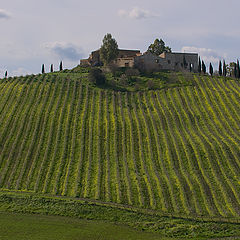 photo "Sicilian landscape"