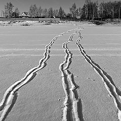 фото "Ручейки-тропинки"