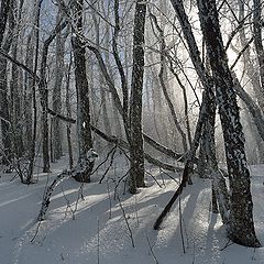 фото "Снежный ветер."