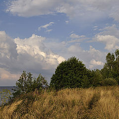 фото "На берегу"