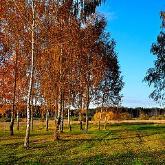 фото "Осенняя палитра"