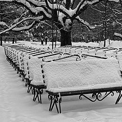 photo "winter sonata"