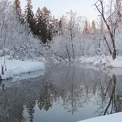 фото "В зимнем сне"