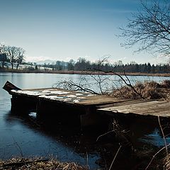 photo "Cold morning"