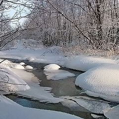 фото "В снежном плену"