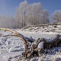 фото "По берегу Енисея. Зимние зарисовки"