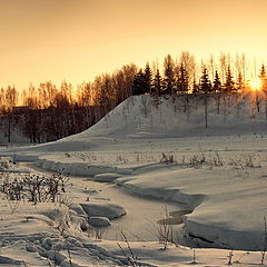 фото "Касание"