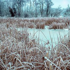 photo "Frozen pond"