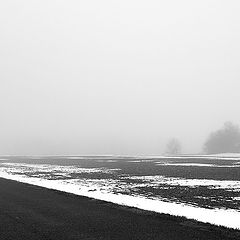 фото "Прогулка в тумане"