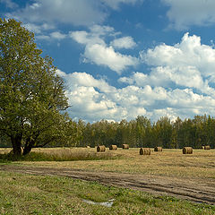 photo "As summer turns to fall"