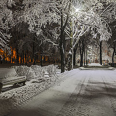 фото "Аллеи парка"