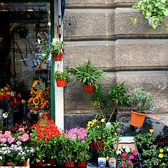 photo "florist shop"