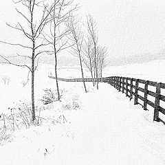 photo "draftsmanship of winter"