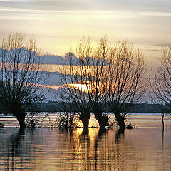 photo "Flood"