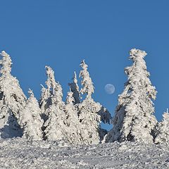 фото "луна"