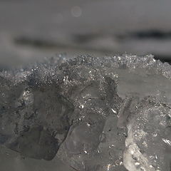 photo "Games of Ice and Sun"