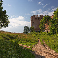 фото "Развилка"