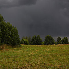 фото "Ливень"