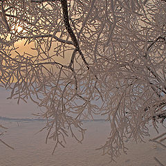 фото "У реки."