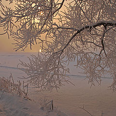 фото "Релаксация."