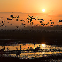фото "Восход на озере Хула"