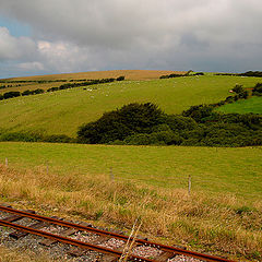 photo "Exmoor"