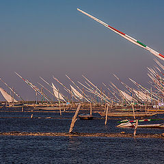 photo "Masts pointers"