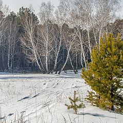 фото "Весеннее настроение...."