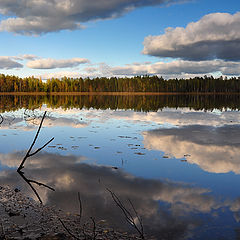 фото "Лесное озеро"