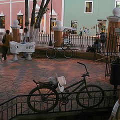 photo "Public garden. Valladolid town."