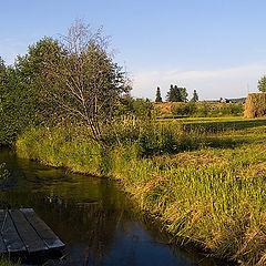 фото "За околицей"