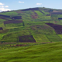 photo "Strip farming"