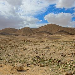 фото "Земля обетованная. 3000 лет спустя."