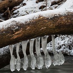 фото "Ледяные сталактиты."