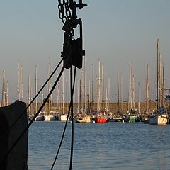 photo "in the harbour"