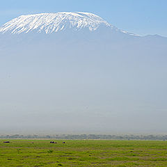 photo "About big mountain and a small elephant"